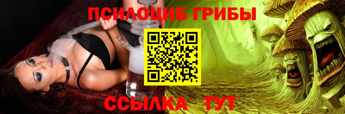 Галлюциногенные грибы GOLDEN TEACHER  Вход с VPN  Псилоцибиновые грибы Magic Shrooms  Балашов 