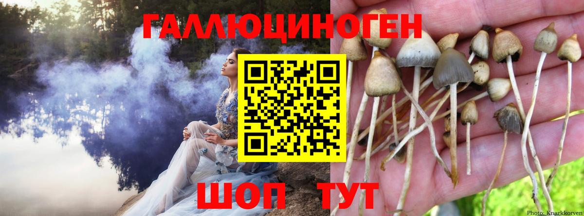 Псилоцибиновые грибы мухоморы Балашов